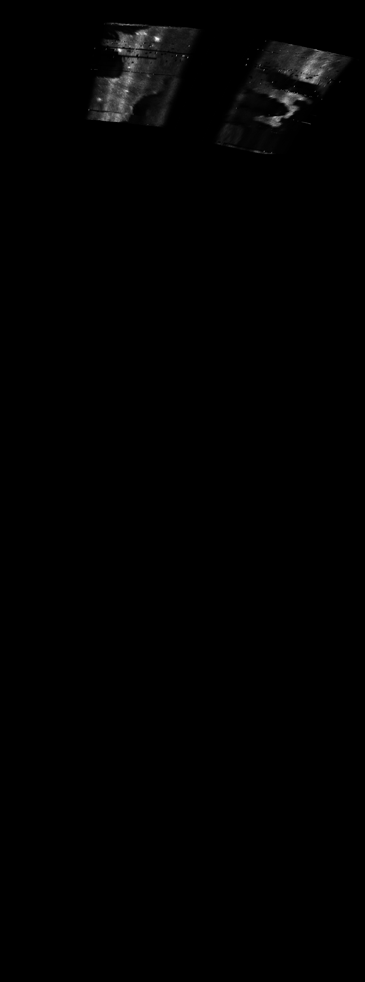 ascat_grayscale_proj_downward.png